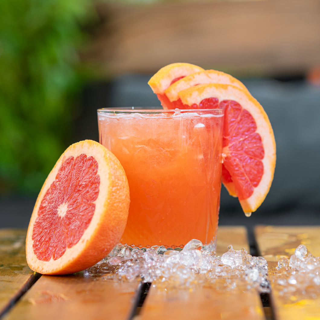 Paloma