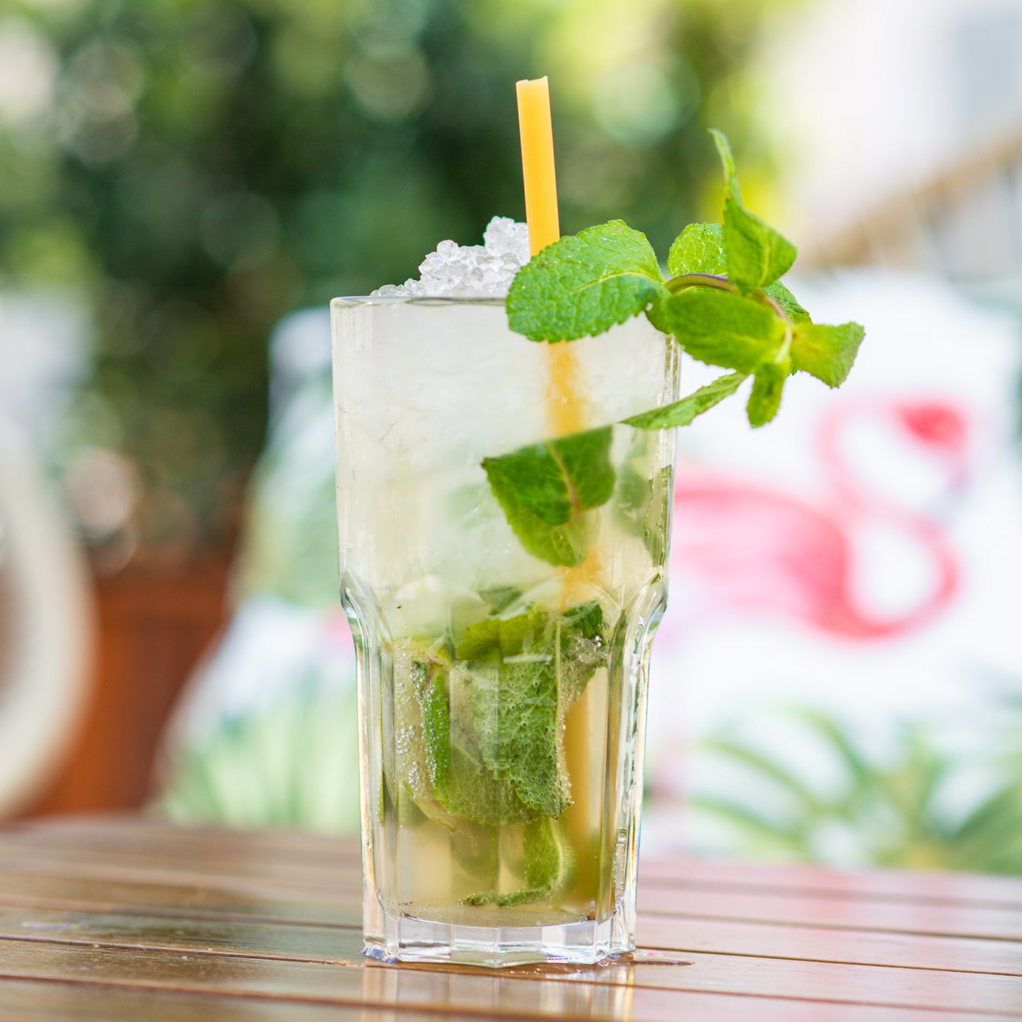 VIRGIN MOJITO: Limonade, Citron vert, Menthe, Cassonade, Eau gazeuse